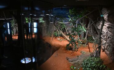 Terra Australis in der Wilhelma