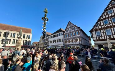 Steht: der Maibaum auf dem Marktplatz.