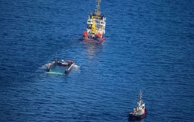 Weitere Entwicklung zum Buckelwal in der Ostsee