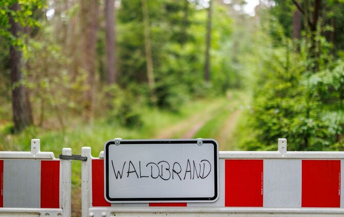 Waldbrand