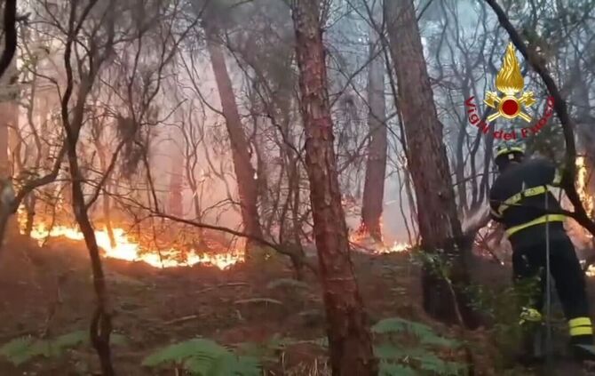 Waldbrand in der Toskana