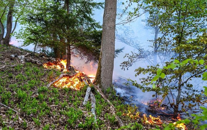 Waldbrand in Werdohl