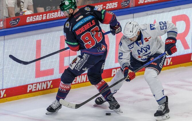 Eisbären Berlin - Adler Mannheim