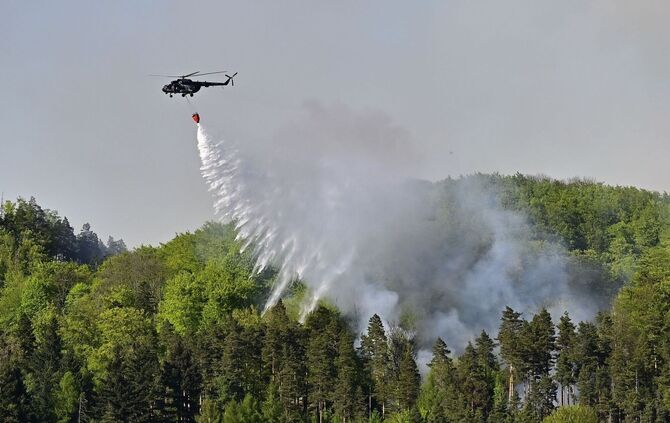 Waldbrand im Nationalpark Böhmische Schweiz