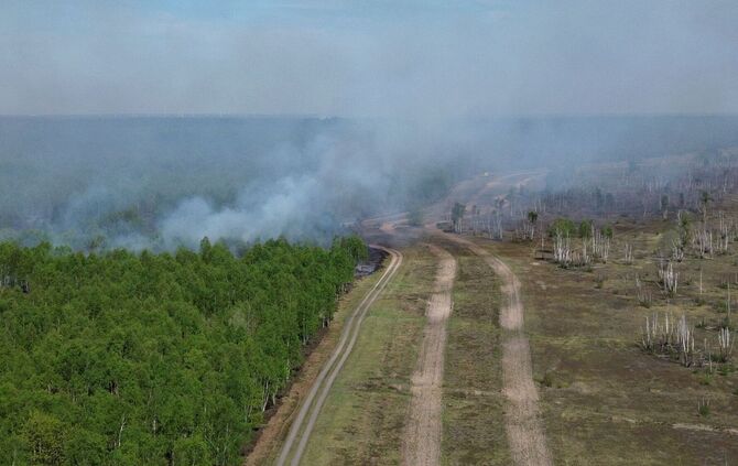 Waldbrand auf munitionsbelastetem Gelände bei Jüterbog