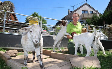 Beatrix Kappeller mit den Überlebenden nach den Krähen-Angriffen: Zicklein Leonardo di Caprio (r.), Jonny Depp und Shanti (die Z