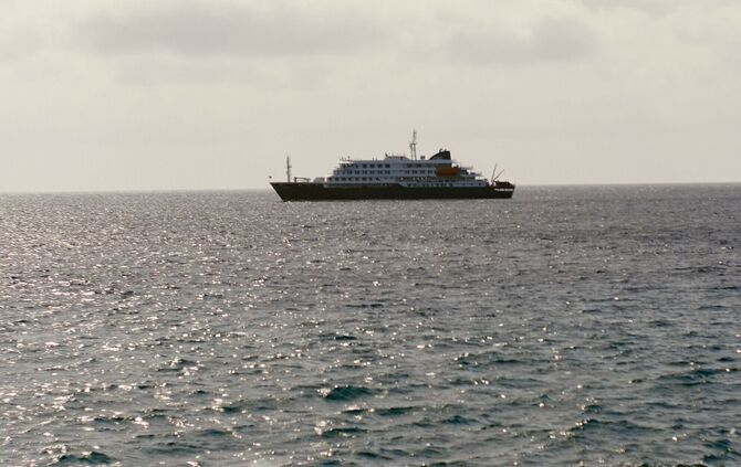 Drei Tote nach Hantavirus-Ausbruch auf Kreuzfahrtschiff