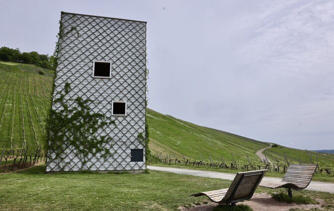 Korb würde am liebsten nicht nur die Container-Standorte, sondern auch den Fern-Seh-Turm mit Überwachungskameras versehen.