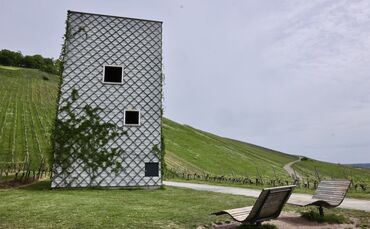 Korb würde am liebsten nicht nur die Container-Standorte, sondern auch den Fern-Seh-Turm mit Überwachungskameras versehen.