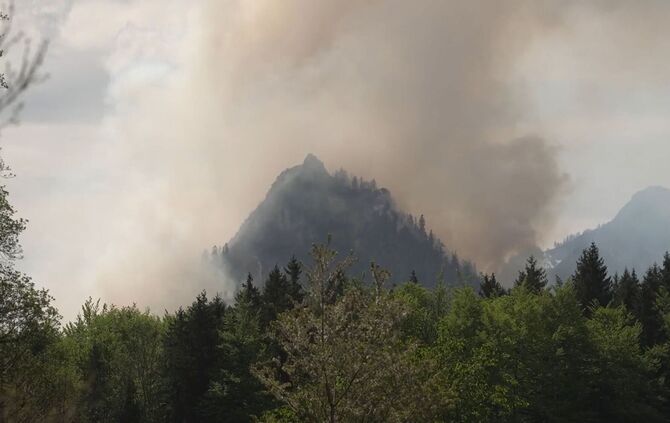 Waldbrand am Saurüsselkopf