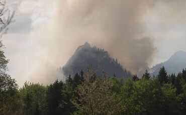 Waldbrand am Saurüsselkopf