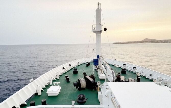 Drei Tote nach Hantavirus-Ausbruch auf Kreuzfahrtschiff