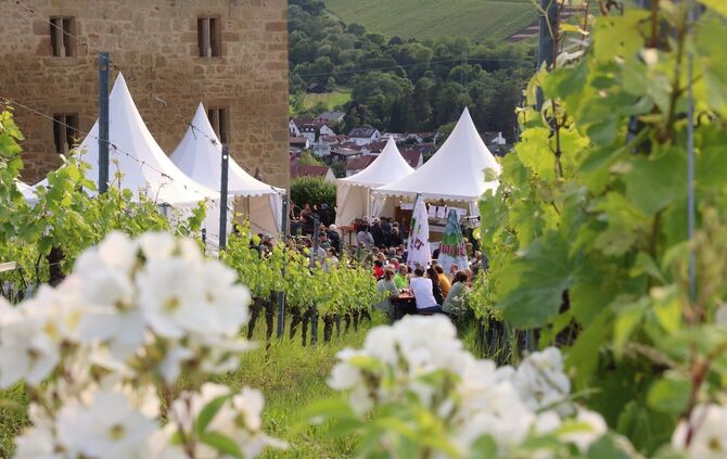 Auch 2025 war der kulinarische Weinweg in Kernen gut besucht (Archivfoto).