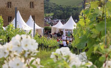 Auch 2025 war der kulinarische Weinweg in Kernen gut besucht (Archivfoto).