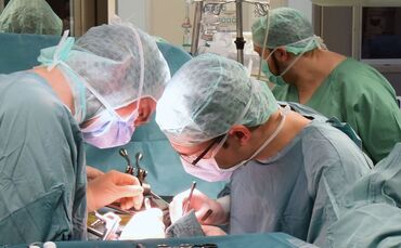 Organspende