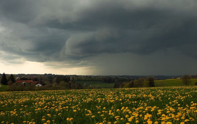 Dunkle Wolken und Gewitter wird es auch in den kommenden Tagen geben. (Archivbild)