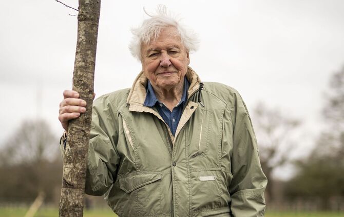 Sir David Attenborough