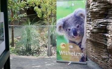 Im Australienhaus in der Wilhelma gab es zwei mysteriöse Vorfälle.