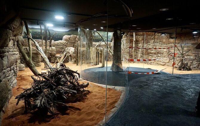Im Dunkelbereich der "Terra Australis" gab es zwei mysteriöse Vorfälle.