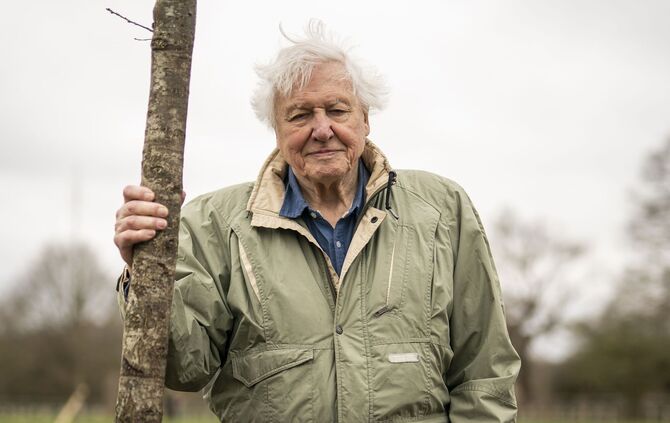 David Attenborough