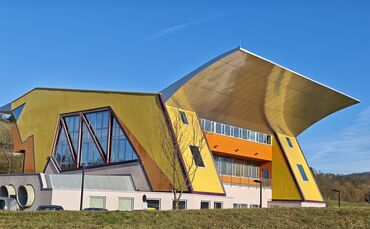 17 Zauneidechsen bremsen die Zehn-Millionen-Erweiterung von Asys in Schorndorf aus.