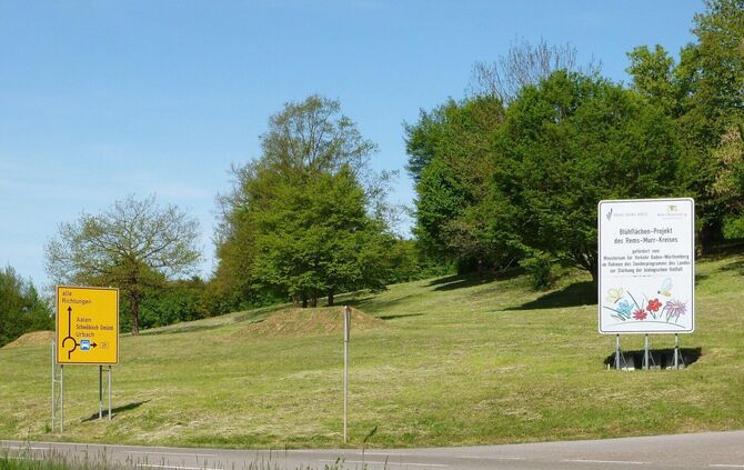 Sollten hier nicht bunte Wiesenblumen blühen? Die Blühfläche an der B29-Auffahrt Schorndorf-Ost ist so dröge. Warum die frühe Ma