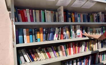 Das öffentliche Bücherregal in Stetten, so wie es bis vor kurzem noch aussah (Archivfoto).