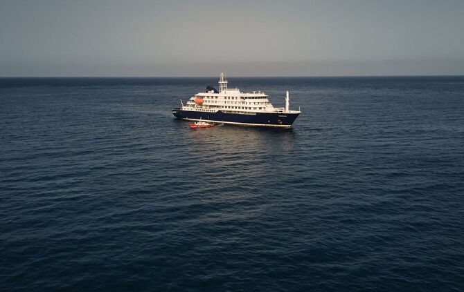 Drei Tote nach Hantavirus-Ausbruch auf Kreuzfahrtschiff