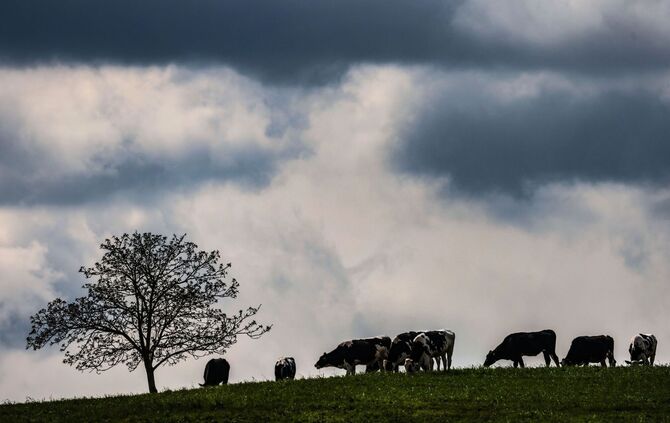 Wetter in der Eifel