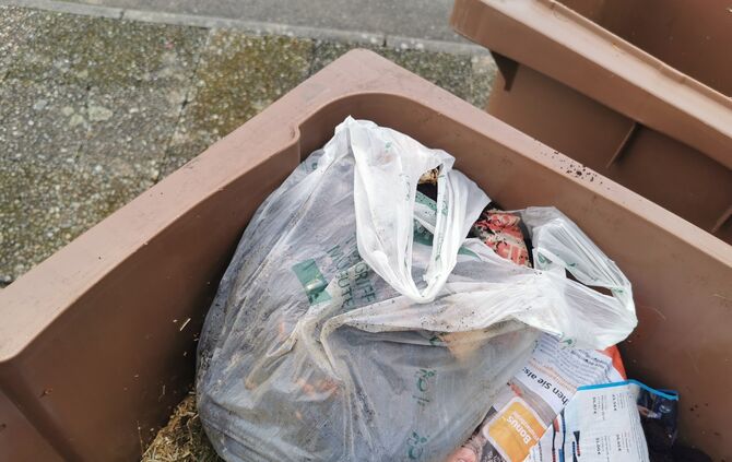 Auch „kompostierbare“ Bioplastiktüten sind in der braunen Tonne verboten.