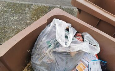Auch „kompostierbare“ Bioplastiktüten sind in der braunen Tonne verboten.
