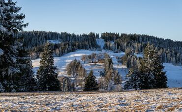 Im Hochschwarzwald ist ein wenig Neuschnee gefallen. (Symbolbild)