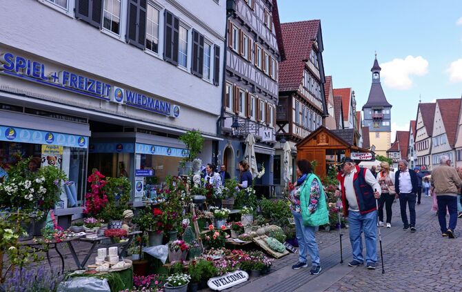 Der Kunsthandwerker- und Pflanzenmarkt sowie ein Kinderprogramm bilden den Rahmen für den verkaufsoffenen Sonntag am "Wonnetag"