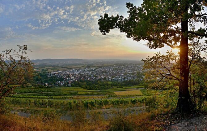 Abendstimmung (Archivbild).