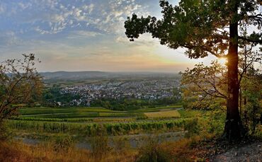 Abendstimmung (Archivbild).