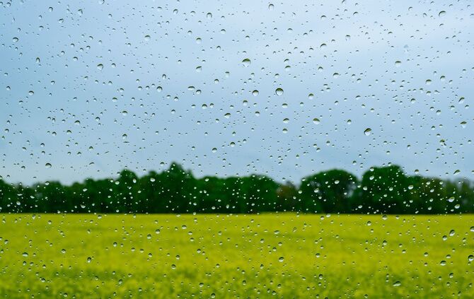 Regen wird es auch in den kommenden Tagen geben.