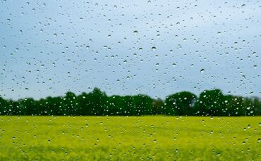 Regen wird es auch in den kommenden Tagen geben.