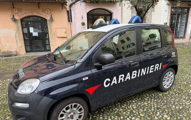 Die Polizei in Italien ermittelt in einem ungewöhnlichen Betrugsfall: Eine Frau soll den Tod der Tochter vorgetäuscht haben. (Sy