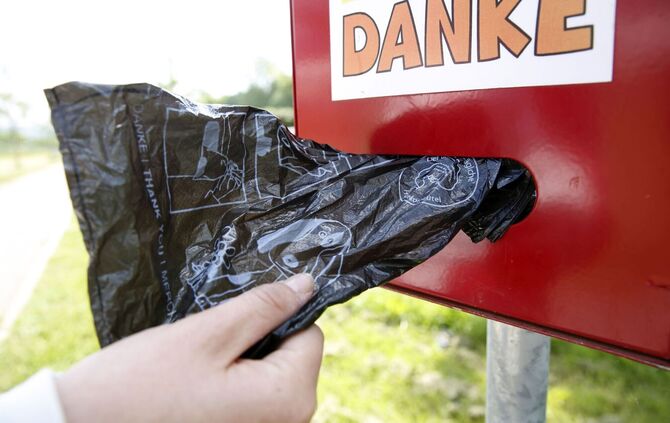 In die Tüte, nicht auf die Straße: Dort gehört der Hundekot hinein.