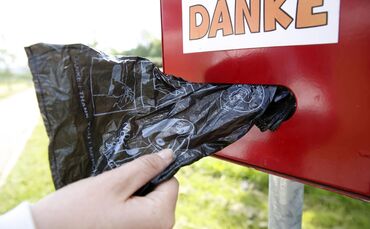 In die Tüte, nicht auf die Straße: Dort gehört der Hundekot hinein.