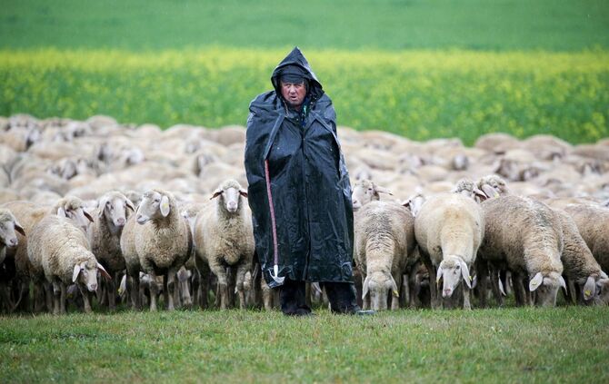 Das Wetter bleibt erst einmal ungemütlich im Südwesten. (Archivbild)