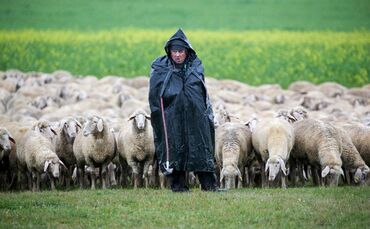 Das Wetter bleibt erst einmal ungemütlich im Südwesten. (Archivbild)