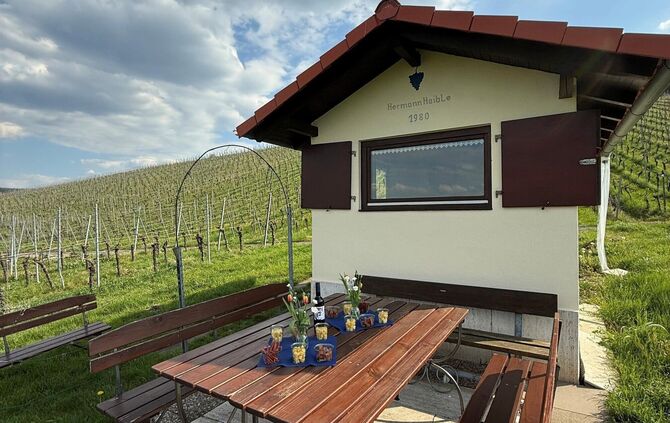Dieses renovierte Wengerterhäusle wird spontan zur Weinbar zwischen Reben.