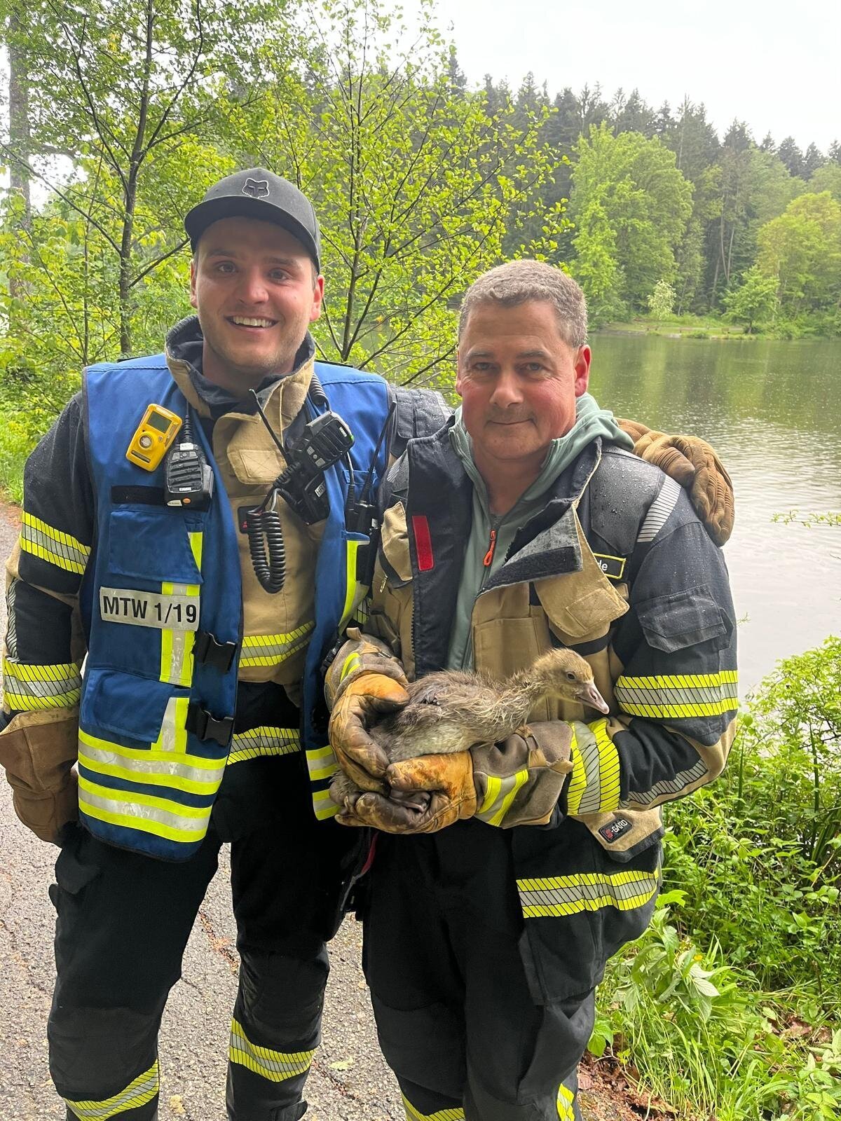 Baby goose rescued at Lake Ebnisee: Fire department on unusual mission