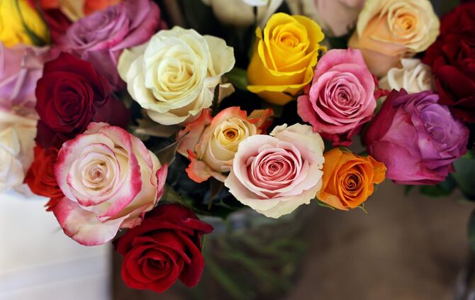 Blumen verschenkt die Stadt Winnenden künftig nur noch an Ehepaare, die mehr als 60 Jahre verheiratet sind und den Besuch eines
