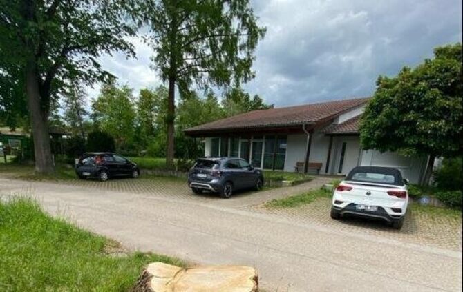 Beispiel für eine Maßnahme gegen das Eschentriebsterben: Eine gefällte Esche am Ortsrand von Strümpfelbach, im Lehenweg zwischen