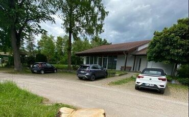 Beispiel für eine Maßnahme gegen das Eschentriebsterben: Eine gefällte Esche am Ortsrand von Strümpfelbach, im Lehenweg zwischen
