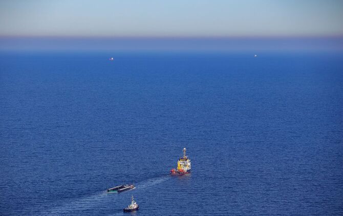 Weitere Entwicklung zum Buckelwal in der Ostsee