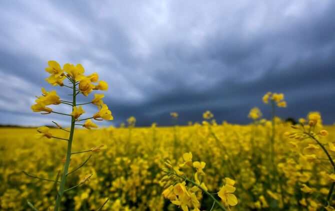 Wetter