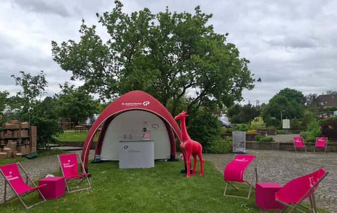 Pinke Giraffe gestohlen